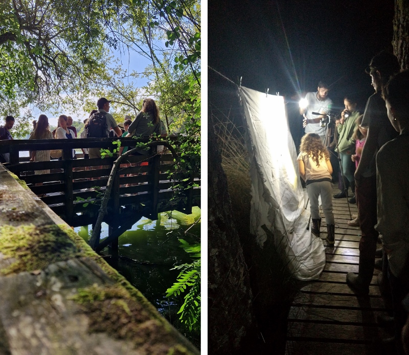 Visite accompagnée de la réserve naturelle de l'étang Noir : échanges sur un ponton au bord de l'étang et découverte du "monde nocturne"