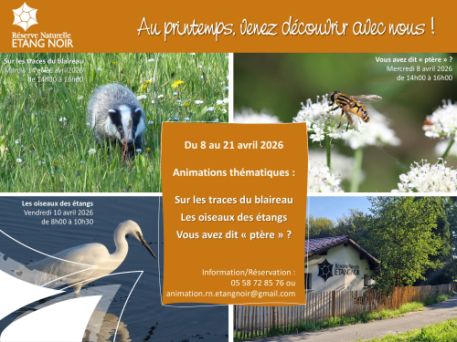 Affichette Programme des Animations Seignosse au Printemps 2026