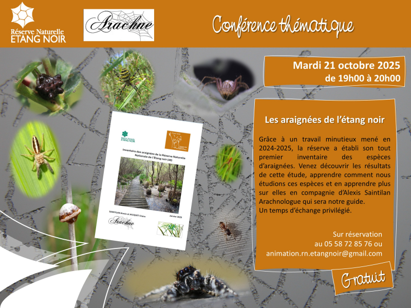 Araignée_2025_com_conférence.jpg
