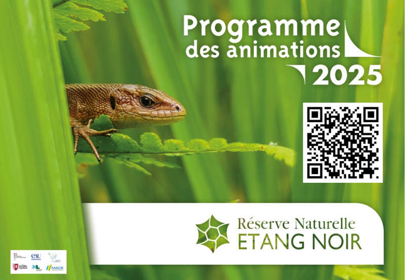 QR Code Programme des Animations 2025