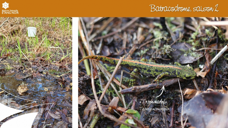 Diapositive3 (1024x576).jpg