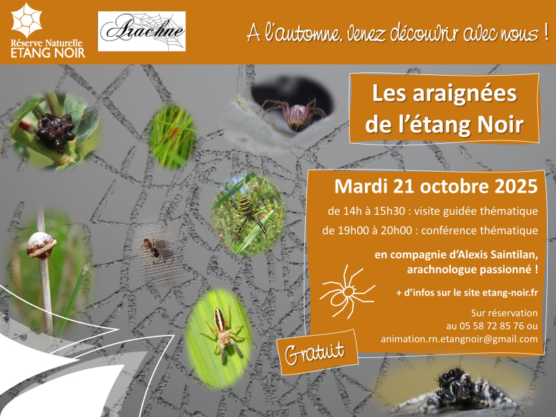 Araignée_2025_com_VG_Conférencecommune.jpg