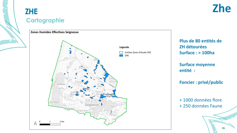 Cartographie des Zones humides effectives de seignosse