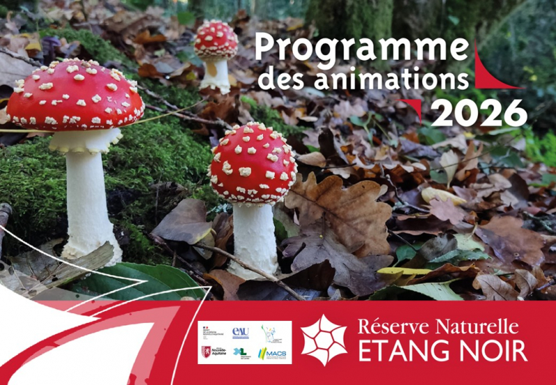 Affichette2026_FBK.jpg
