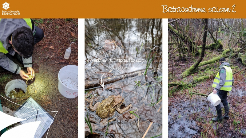 Diapositive2 (1024x576).jpg