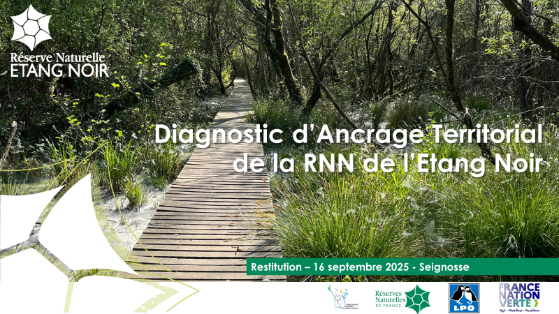 Diapositive0 de la restitution du diagnostic _16 septembre 2025.JPG