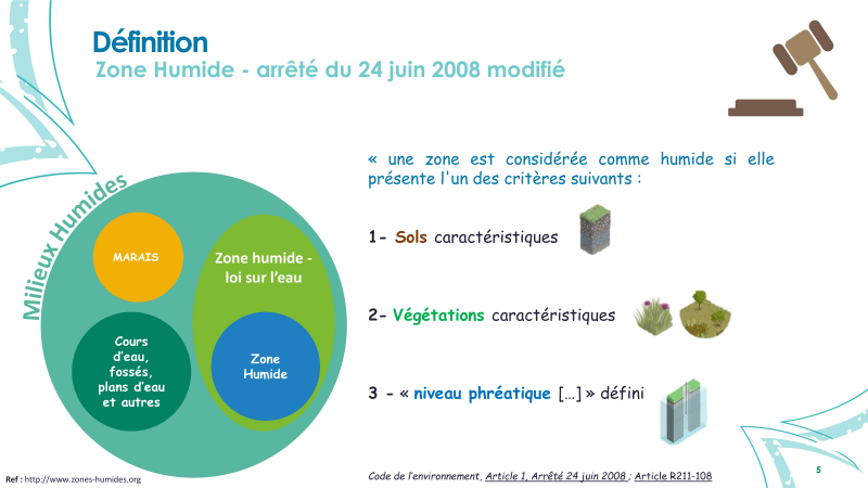 Qu'est ce qu'une zone humide ?