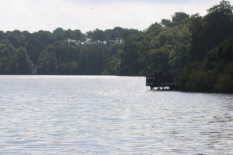 Visiteurs de la réserve naturelle sur le ponton panoramique au dessus de l'étang Noir