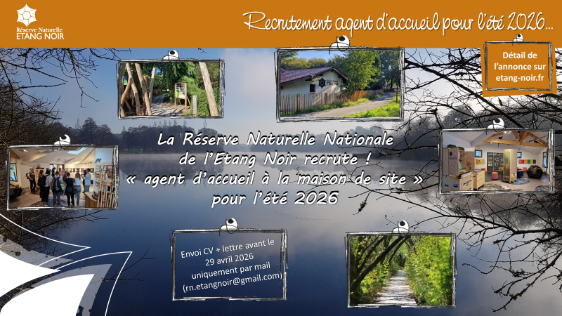 fiche_poste_agent_accueil_RNNEtangNoir_l2026