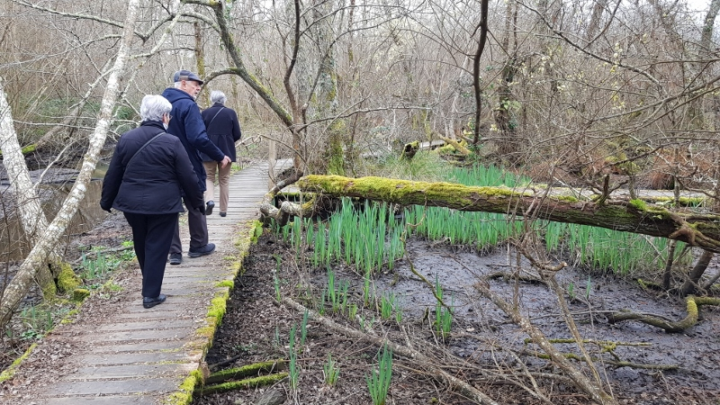 Trois visiteurs empruntant la passerelle de découverte de la réserve naturelle de l'étang Noir en fin d'hiver